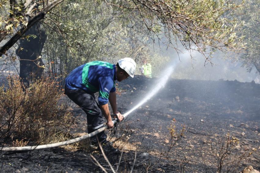  Edremit’te zeytinlikte çıkan yangın ormana sıçramadan söndürüldü