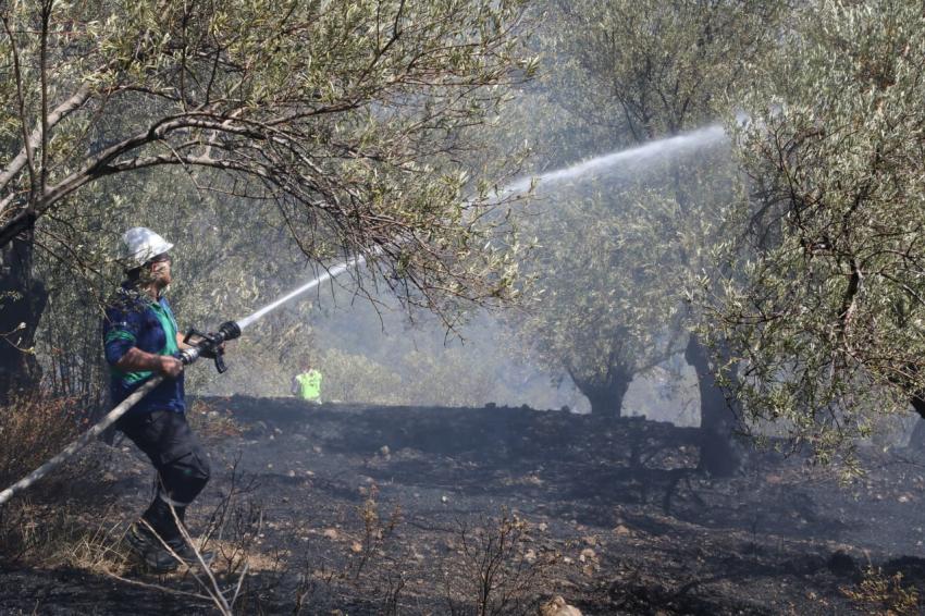  Edremit’te zeytinlikte çıkan yangın ormana sıçramadan söndürüldü