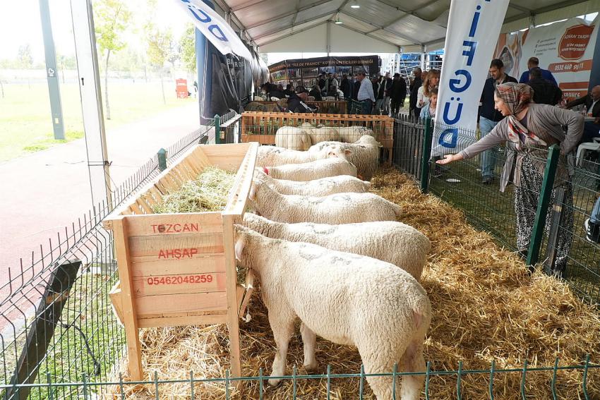 Balıkesir Tarım ve Hayvancılık Fuarı ziyaretçi rekoru kırdı