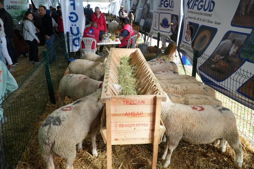 Balıkesir Tarım ve Hayvancılık Fuarı ziyaretçi rekoru kırdı