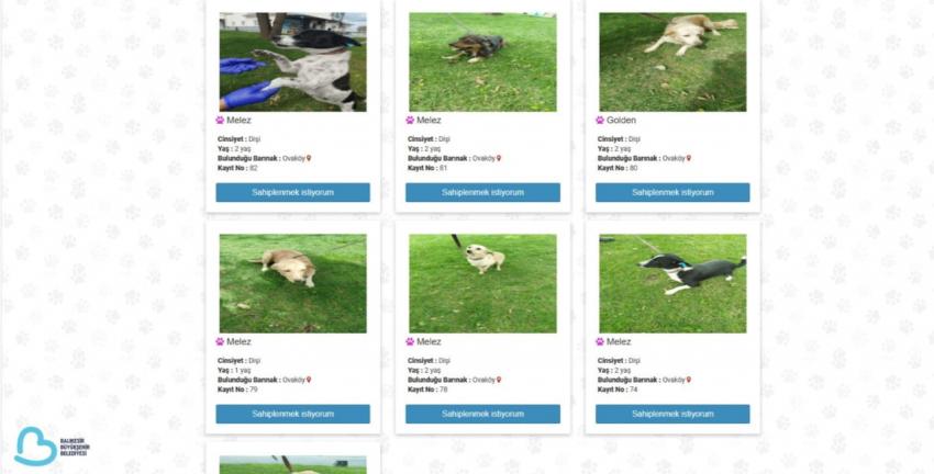 Balıkesir’de can dostlar Büyükşehir eliyle güvende