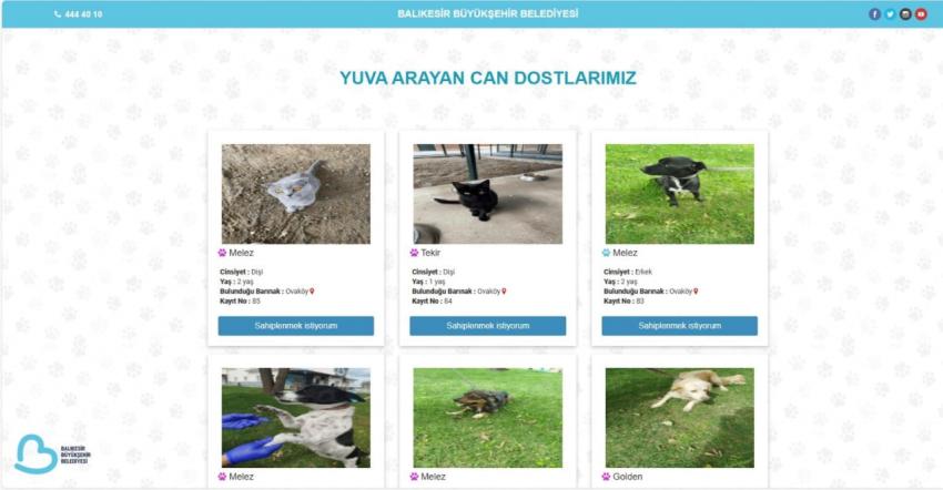 Balıkesir’de can dostlar Büyükşehir eliyle güvende