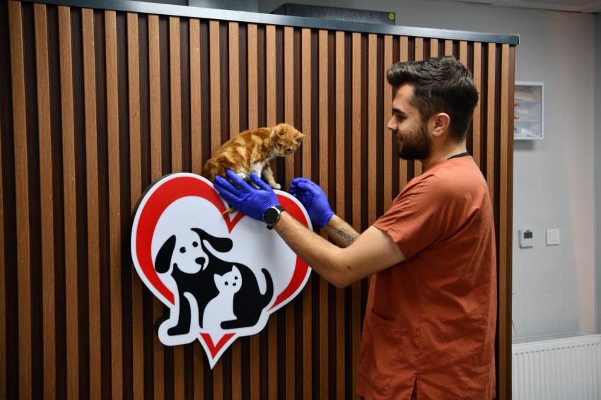 Balıkesir’de can dostlar Büyükşehir eliyle güvende