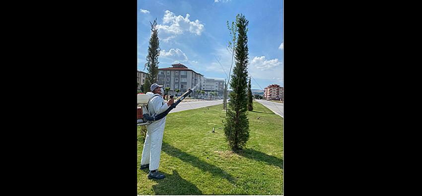 Balıkesir Büyükşehir Belediyesi'nden Büyük Başarı