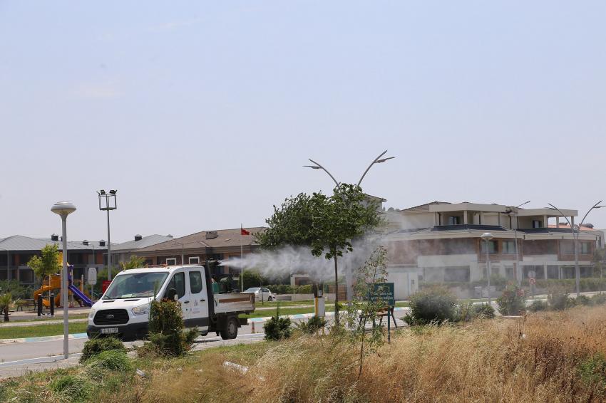 Edremit’te sinekle 7/24 mücadele