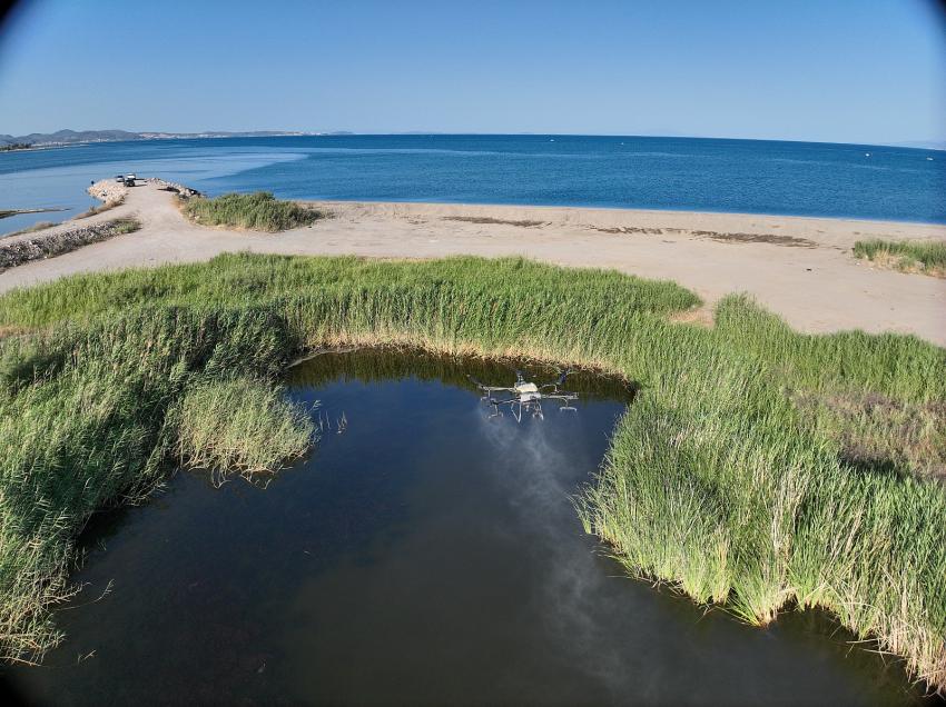 Sivrisineksiz bir yaz için Büyükşehir ekiplerinden yoğun mesai