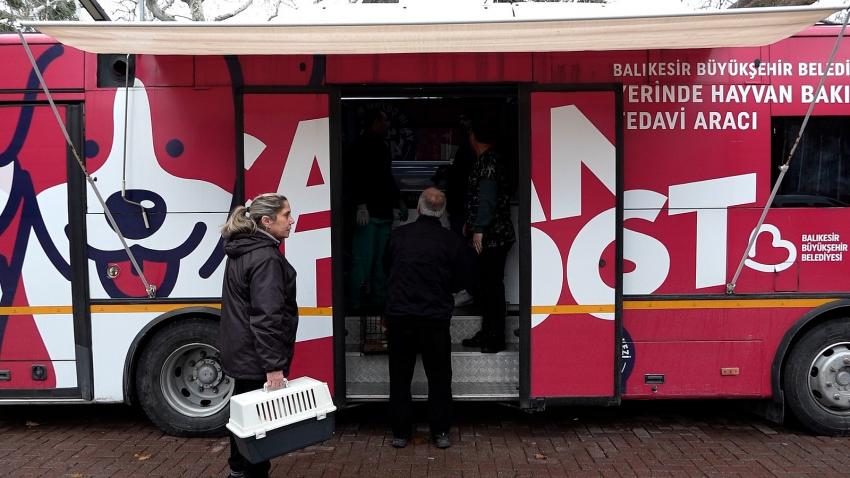 Sokak hayvanlarına tam teşekküllü sağlık hizmeti