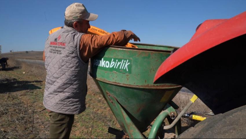 SÜT OTU TOHUMU TOPRAKLA BULUŞTU 