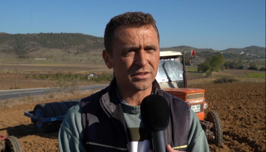 SÜT OTU TOHUMU TOPRAKLA BULUŞTU 