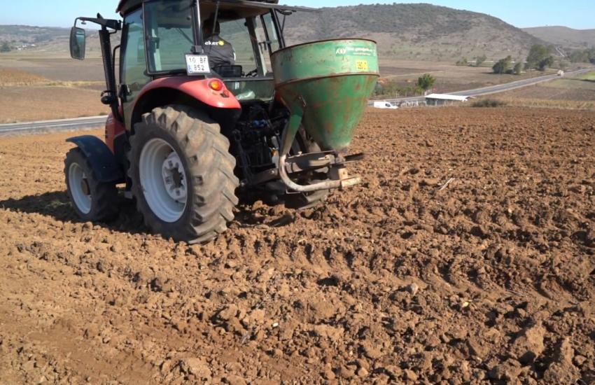 SÜT OTU TOHUMU TOPRAKLA BULUŞTU 