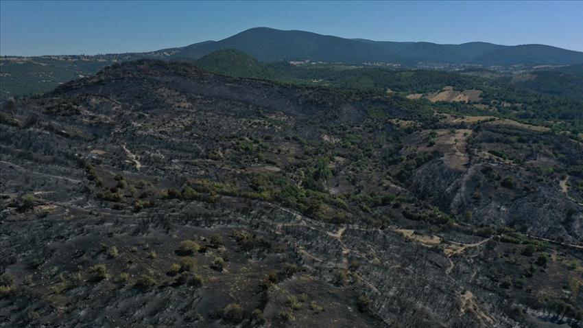KEPSUT ORMAN YANGININDA SOĞUTMA ÇALIŞMALARI SÜRÜYOR