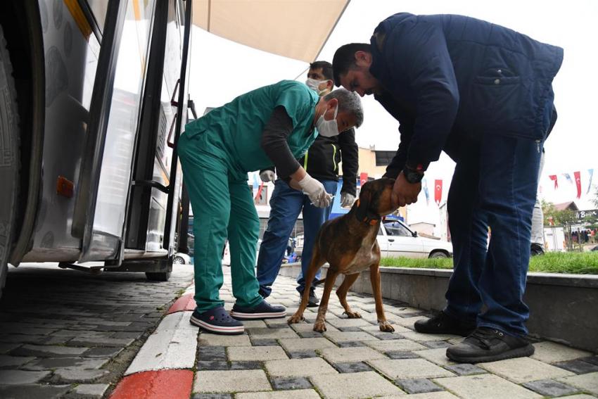 VETBÜS’ÜN ILK DURAĞI BALYA OLDU