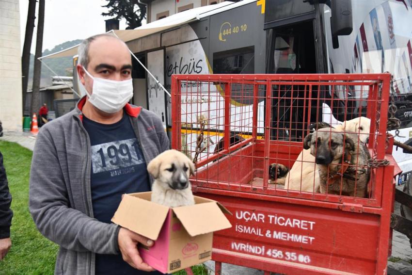 VETBÜS’ÜN ILK DURAĞI BALYA OLDU