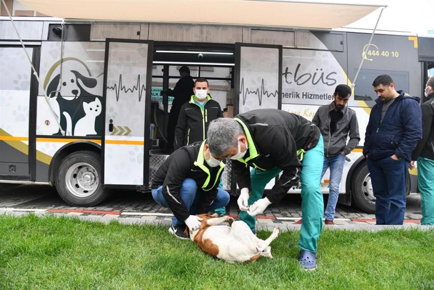 VETBÜS’ÜN ILK DURAĞI BALYA OLDU