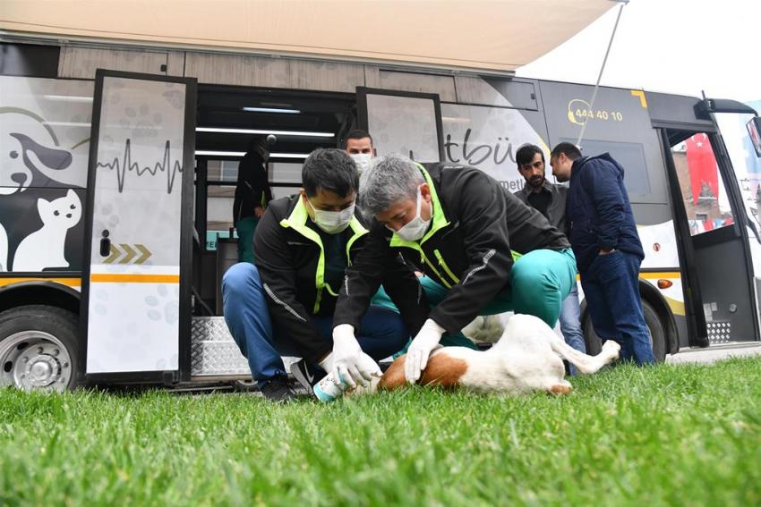 VETBÜS’ÜN ILK DURAĞI BALYA OLDU