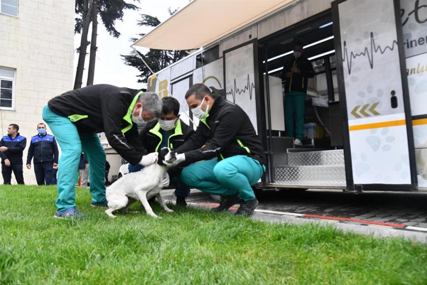 VETBÜS’ÜN ILK DURAĞI BALYA OLDU