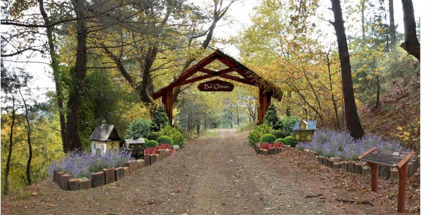 BBB’DEN KAZDAĞLARI’NA BAL ORMANI