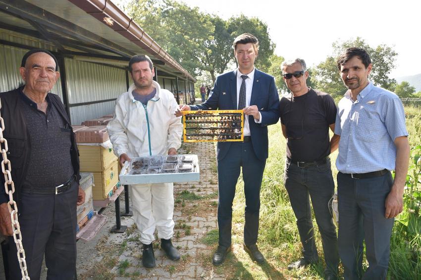 BBB’NIN ANA ARILARI YENI EVLERINE UÇTU