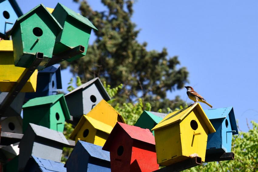 BÜYÜKŞEHIR, KUŞ EVI KÜLTÜRÜNÜ BALIKESIR’DE YAŞATIYOR