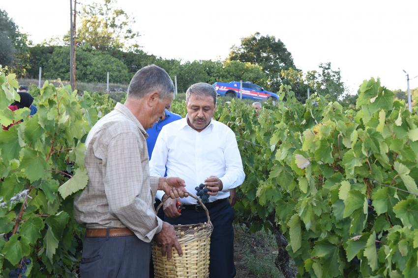 VALI ŞILDAK ÜZÜMÜN YOLCULUĞUNA TANIKLIK ETTI