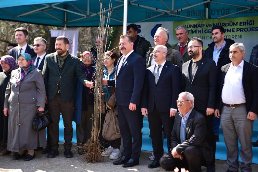 BÜYÜKŞEHIR’DEN ÇIFTÇIYE HÜNNAP VE MÜRDÜM ERIĞI DESTEĞI