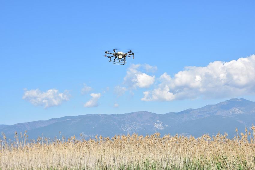 BÜYÜKŞEHIR ZİHA’LAR ILE LARVALARI YOK EDIYOR