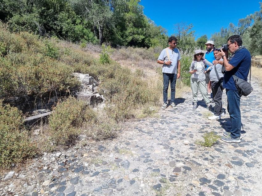 Zeytinin ulaşım yolları