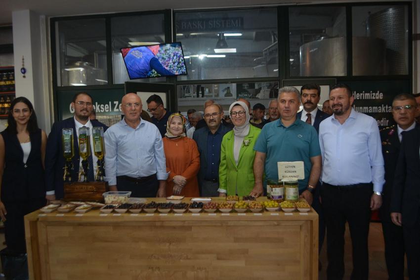 ZEYTİNYAĞINDA AB TESCİLİ İÇİN ÇABALAR SÜRÜYOR