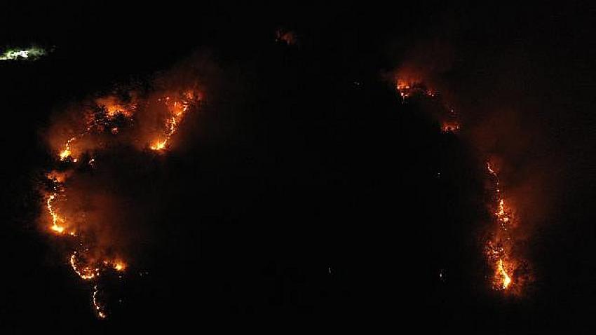 BALIKESIR'DEKI ORMAN YANGINI 7 SAATLIK ÇALIŞMAYLA KONTROL ALTINDA