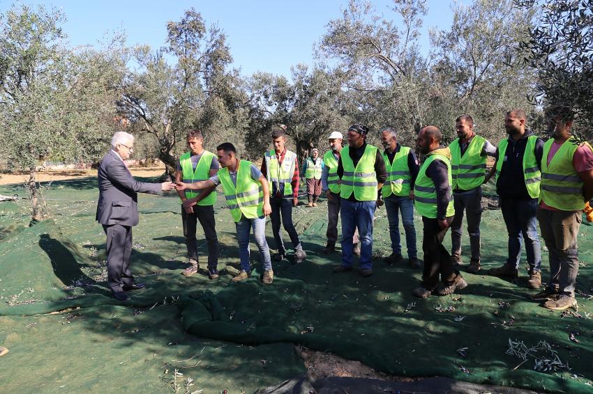 BAŞKAN DEVECİLER ZEYTİN EMEKÇİLERİYLE BULUŞTU