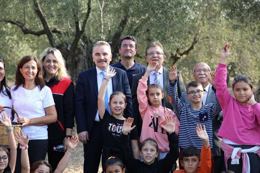 BAŞKAN ARSLAN ÖĞRENCİLERLE ZEYTİN HASADI YAPT