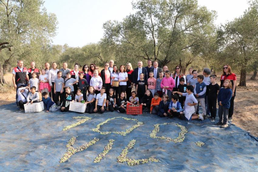 BAŞKAN ARSLAN ÖĞRENCİLERLE ZEYTİN HASADI YAPT