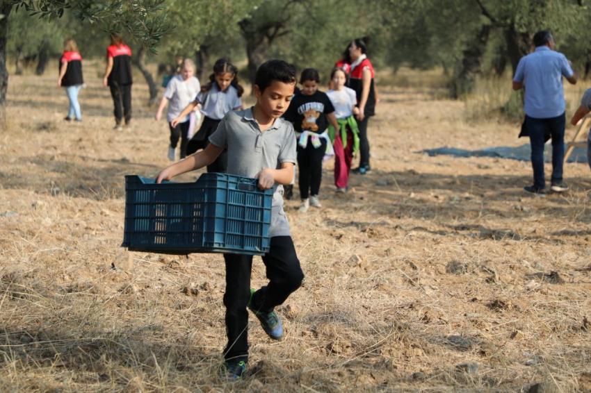 BAŞKAN ARSLAN ÖĞRENCİLERLE ZEYTİN HASADI YAPT