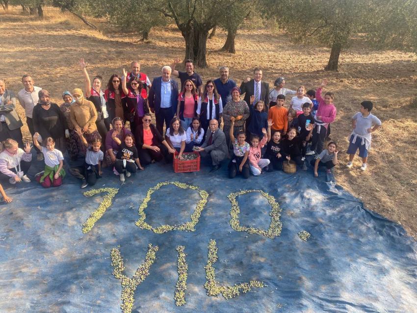 BAŞKAN ARSLAN ÖĞRENCİLERLE ZEYTİN HASADI YAPT